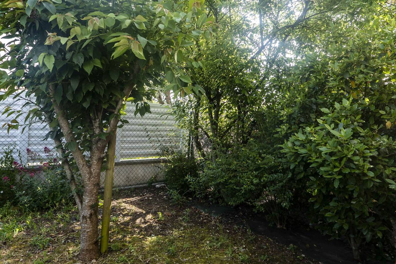 Appartement entier, Location de vacances T2 Fouras in Fouras, Région de Rochefort