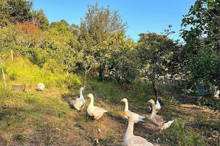 Holiday apartment for 2 people - 1