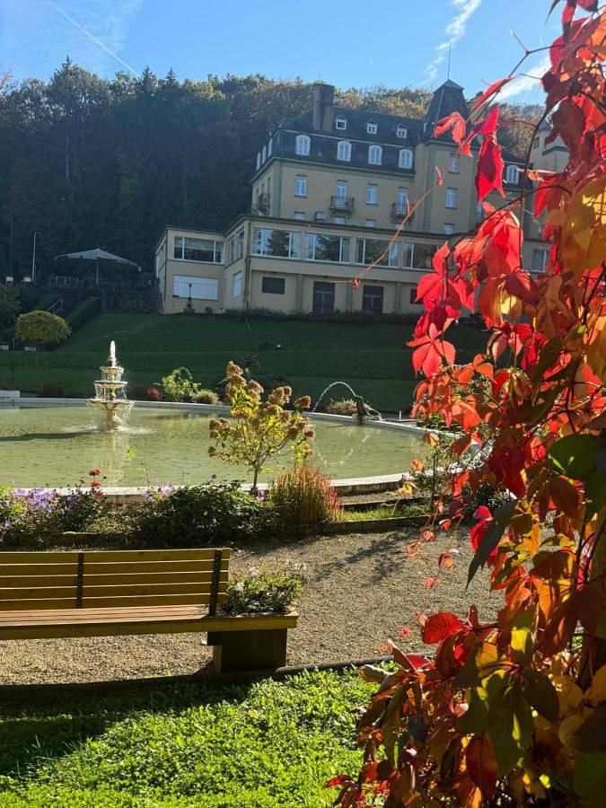 Hôtel pour 2 personnes, avec jardin ainsi que piscine et sauna, animaux acceptés dans Echternach - 4
