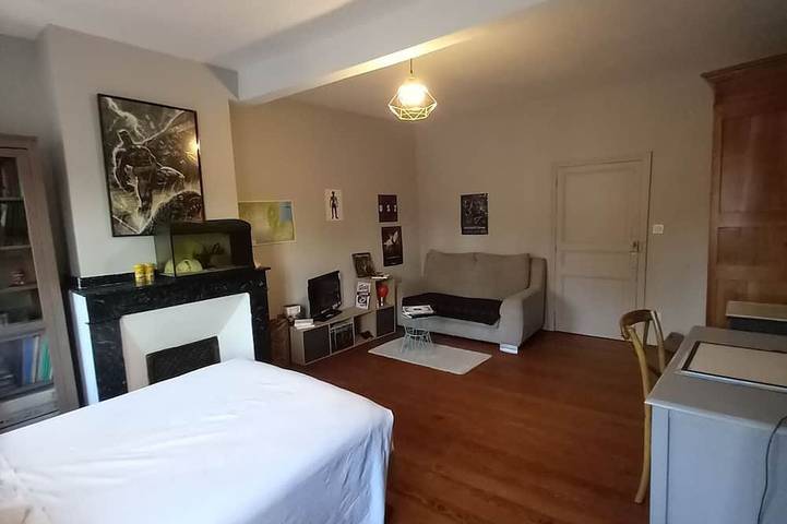 Location de vacances pour 12 personnes, avec terrasse et jardin à Colomiers - 3