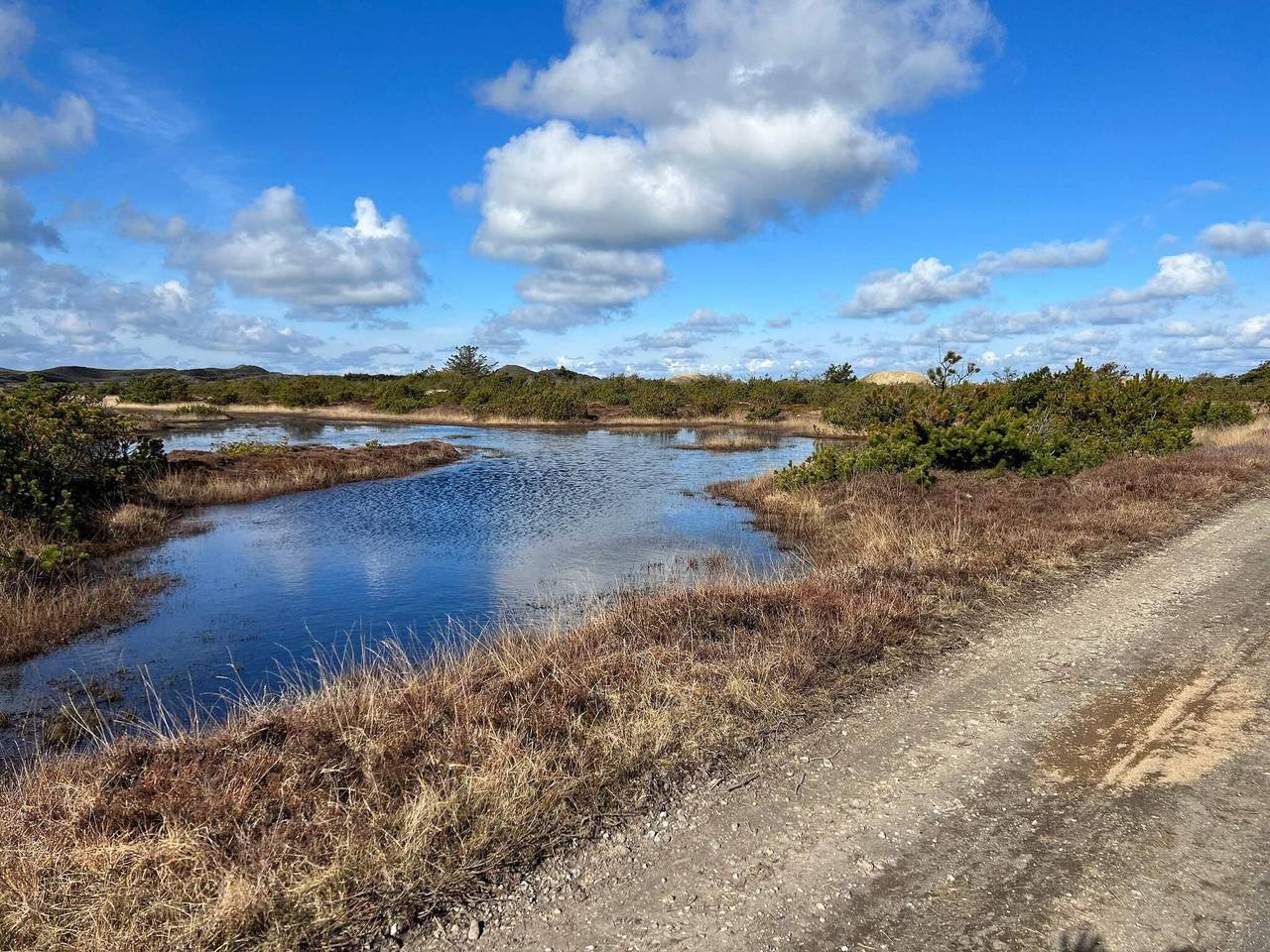 14 Personen Ferienhaus in Ulfborg in Vester Husby, Husby (Dänemark)