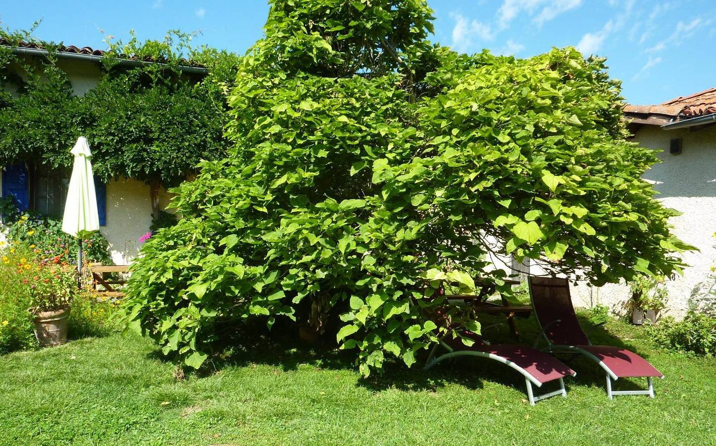 La Petite Ecurie du Marjoulet in Haute-Garonne
