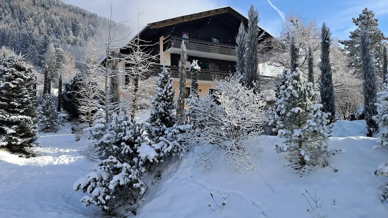 Ganze Ferienwohnung, Ferienwohnung für 6 Personen (52 m²) in Millstatt in Millstatt, Bezirk Spittal an der Drau