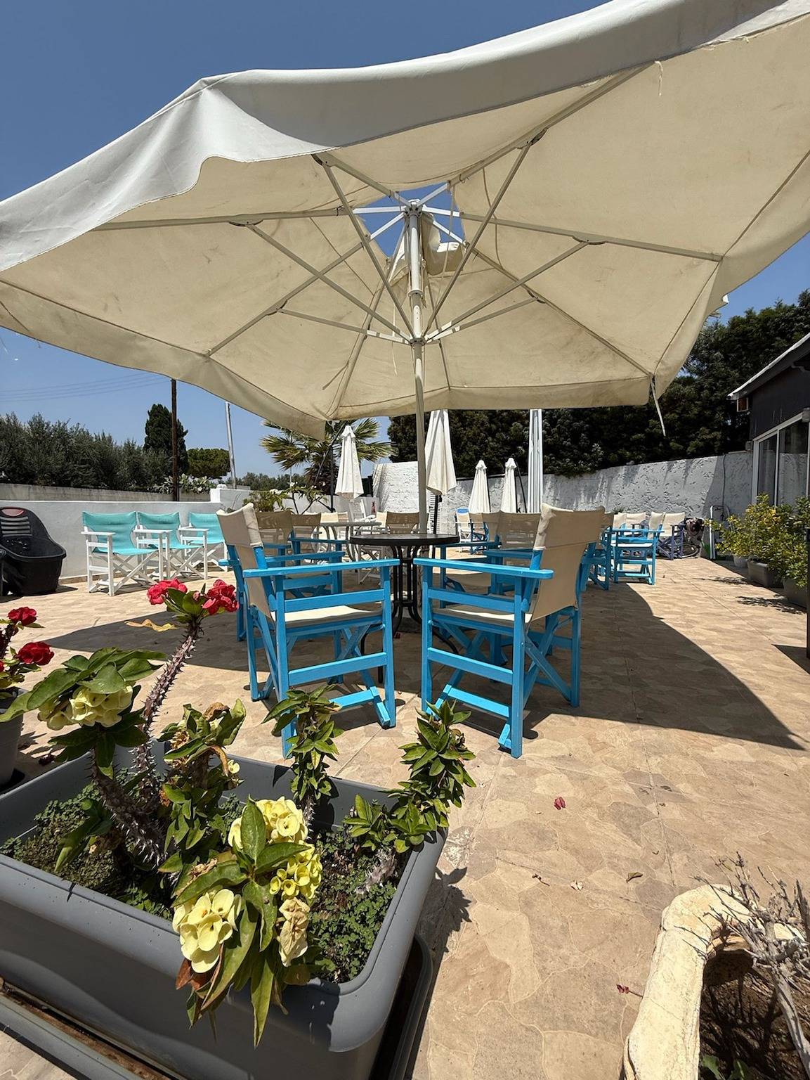 Entire apartment, 2 - 4 Bdr Apartments - Perfect Location for Sea & Shops in Paphos, South Cyprus