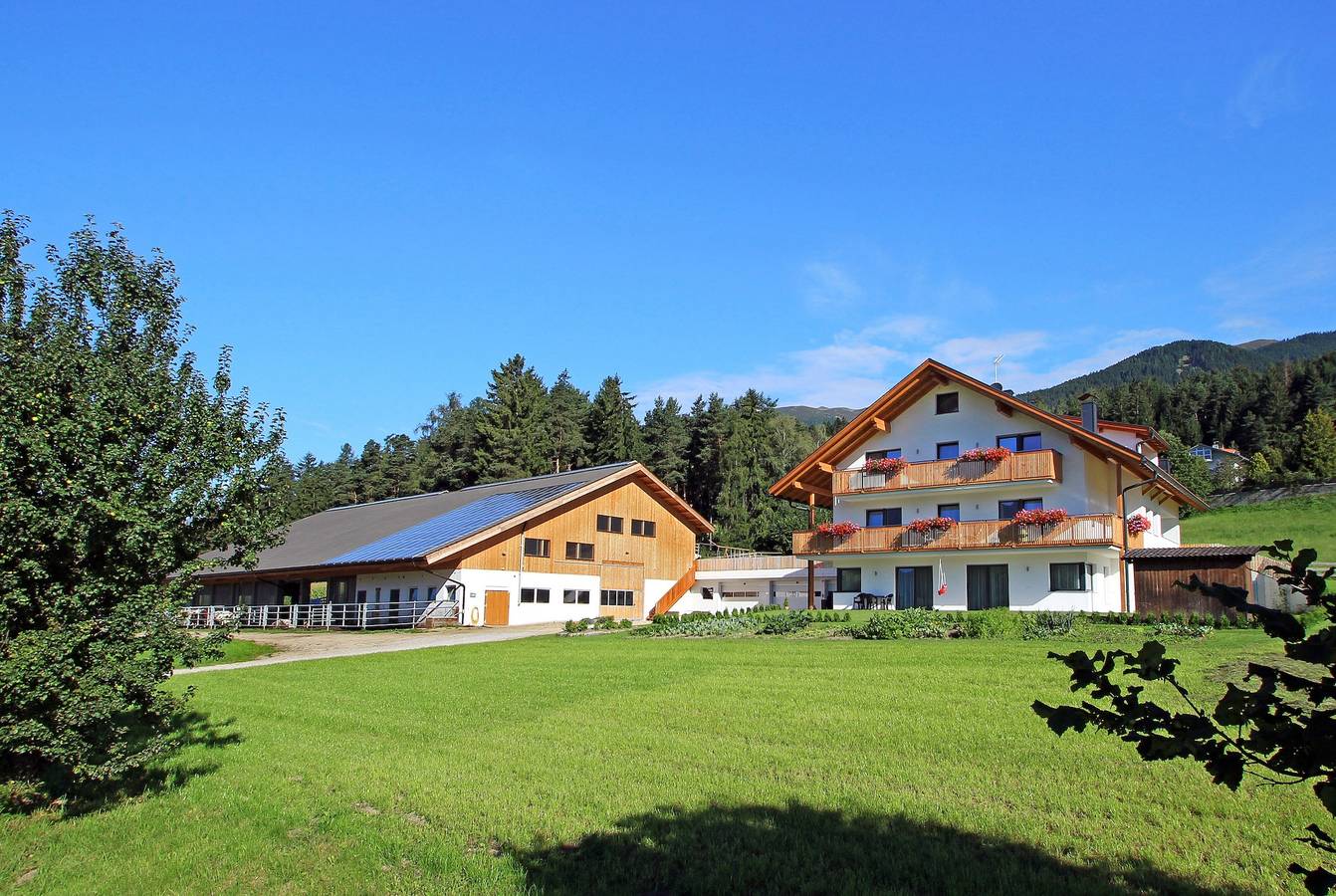 Ganze Wohnung, Ferienwohnung "Stiflerhof Apt Enzian" mit Bergblick, Gemeinschaftsgarten und Wlan in Issing, Pfalzen