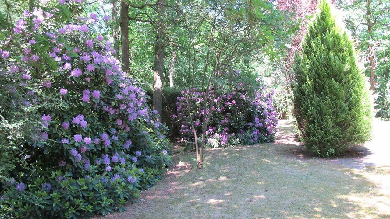 Ferienhaus für 2 Personen (70 m²) in Schneverdingen in Schneverdingen, Nordheide
