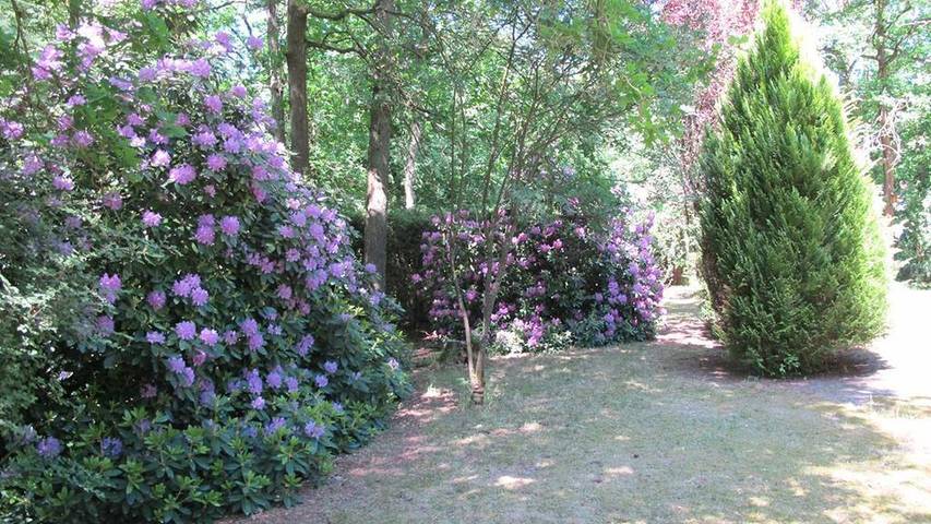 Ferienhaus für 2 Personen, mit Garten in Schneverdingen - 3