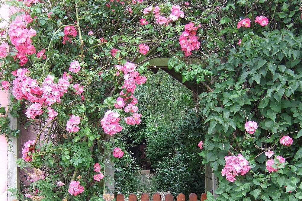 Norfolk, Cosy Beamed Cottage Close Sandy Beaches/Broadland. Peaceful Location. in Happisburgh, Norfolk