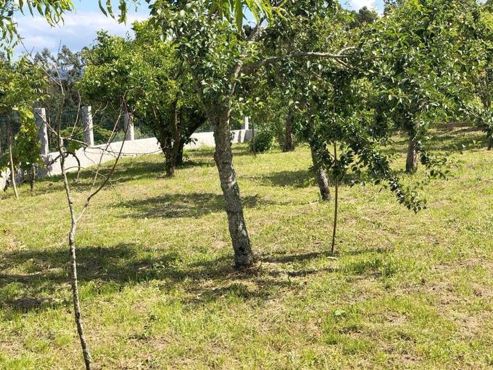 Casa rural para 6 personas, con jardín y vistas en Baixo Miño - 4