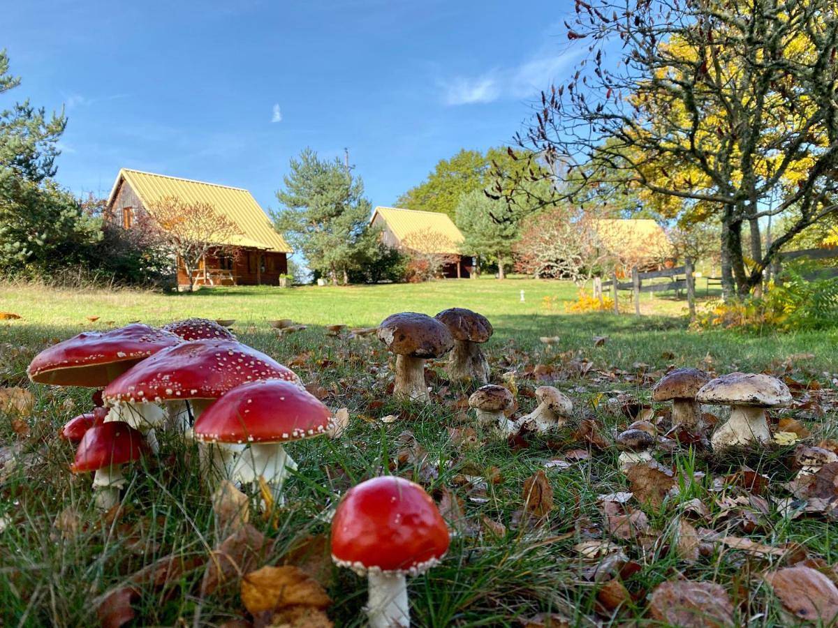 Chalets de l Empereur in Ussel, Région d'Ussel