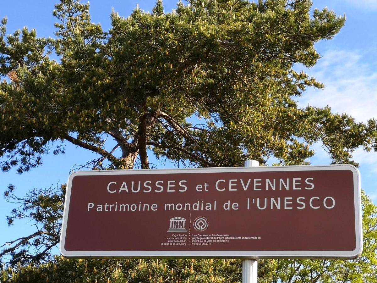 Rêve de Causse in Saint-Michel (Hérault), Région de Lodève