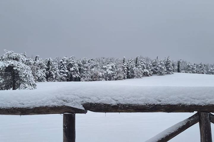 Appartement entier, House in the village of Castelletta at an altitude of 700 meters in the park Gola della Rossa in Fabriano, Province d'Ancône