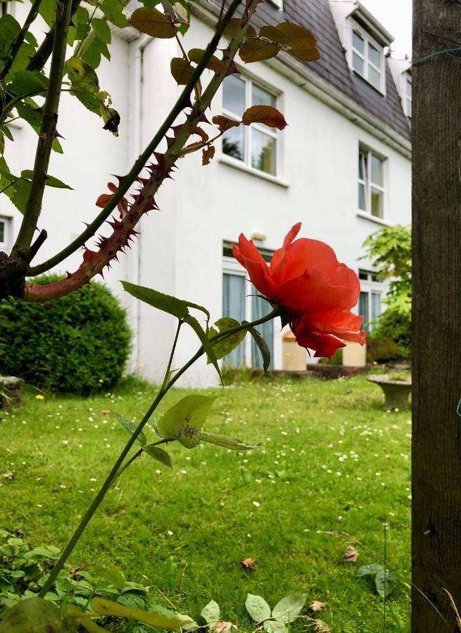 Maison d’hôte pour 2 personnes, avec terrasse et jardin en Irlande - 4
