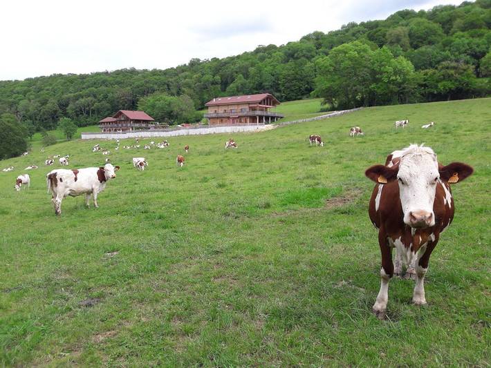 Chambre d’hôte pour 5 personnes, avec jardin et piscine dans le Doubs - 4