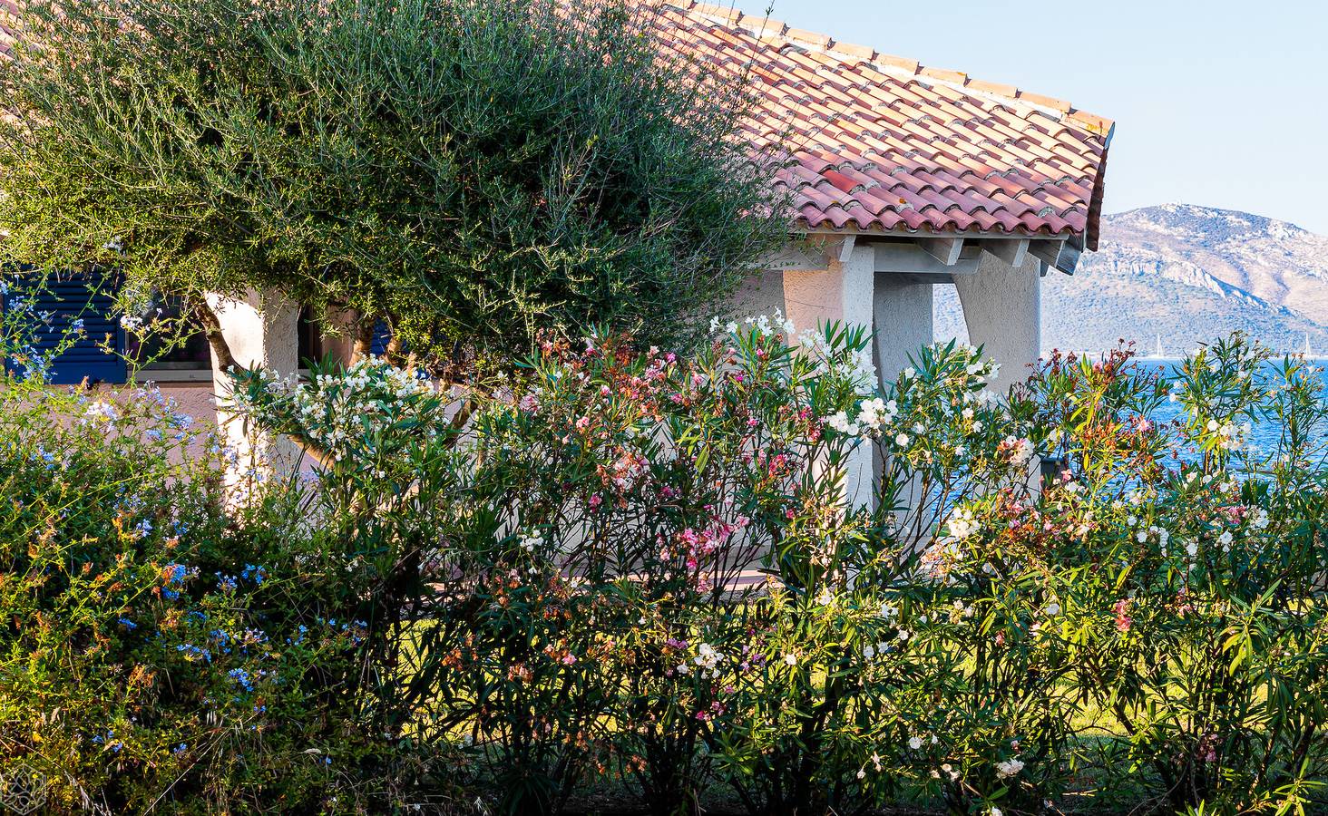 Villa Miriam - moderno pied dans l'eau, Pittulongu in Pittulongu, Olbia