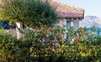 Villa für 6 Personen in Pittulongu, Costa Smeralda, Bild 4