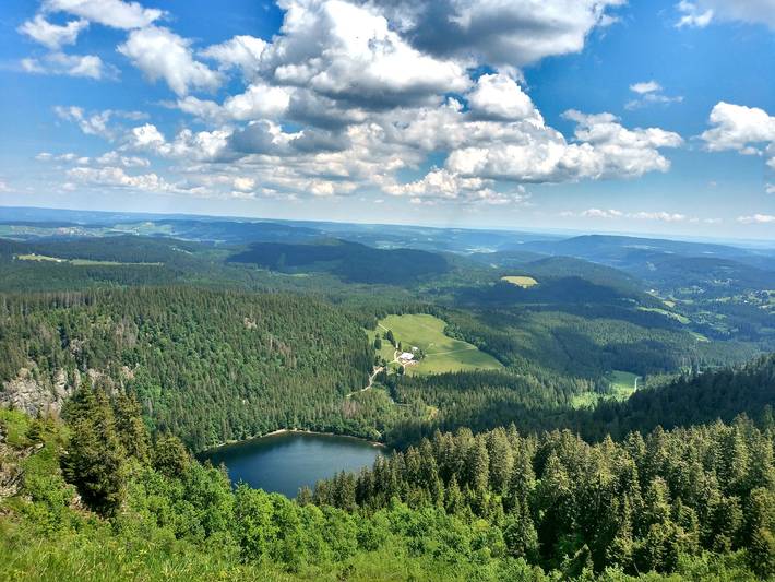 Gîte pour 4 personnes, avec terrasse à Feldberg - 3