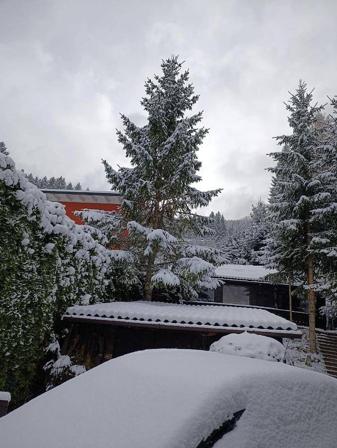 Chalet für 6 Personen, mit Garten und Ausblick, mit Haustier in Bad Kleinkirchheim - 3