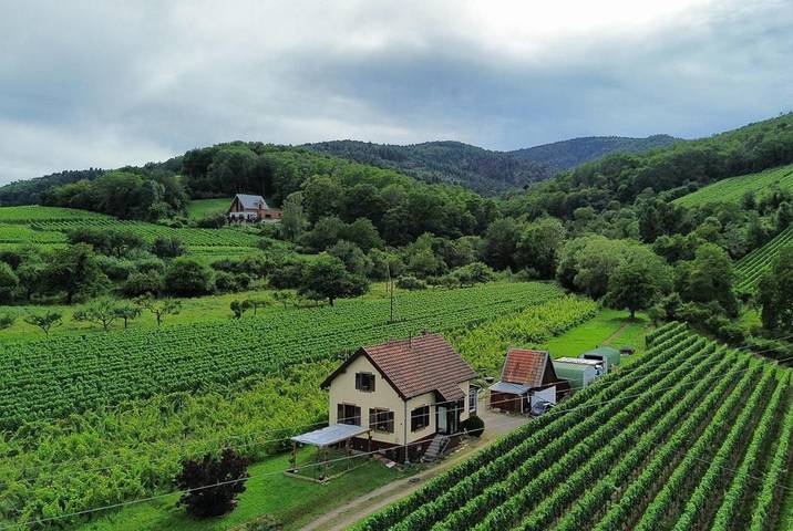 Chambre d’hôte pour 2 personnes, avec terrasse ainsi que vue et jardin à Ribeauvillé