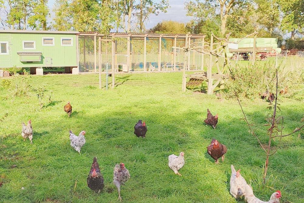 Ganze Wohnung, Gemütliche und helle Ferienwohnung auf dem Ferienhof Wichtelweide auf Fehmarn in Westfehmarn, Gammendorf