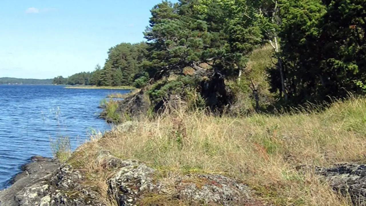 Ferienhaus für 5 Personen (50 m²) in Köpmannebro in Mellerud, Vänern