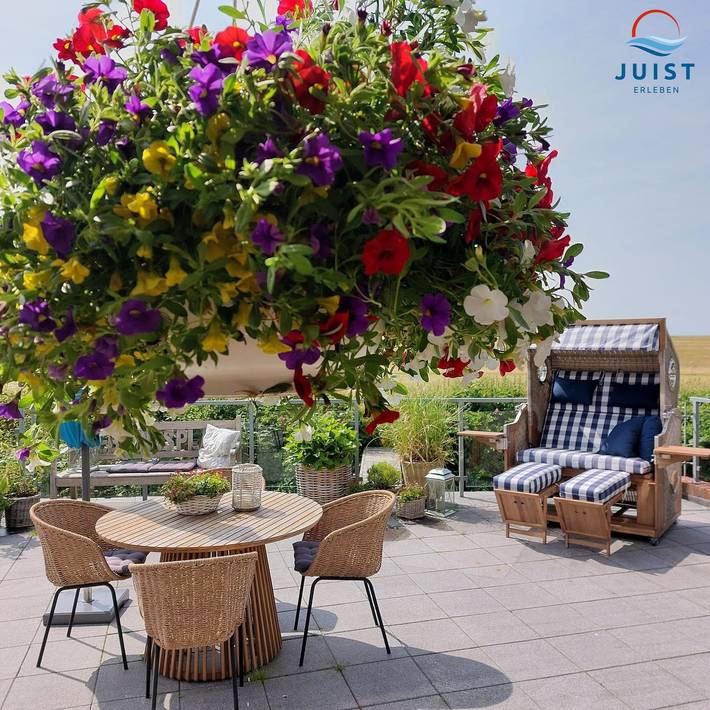 Ferienwohnung für 4 Personen, mit Terrasse und Sauna, mit Haustier auf Juist - 2