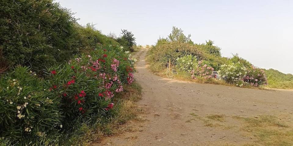 Location de vacances pour 4 personnes, avec jardin et jacuzzi à Antisanti - 4