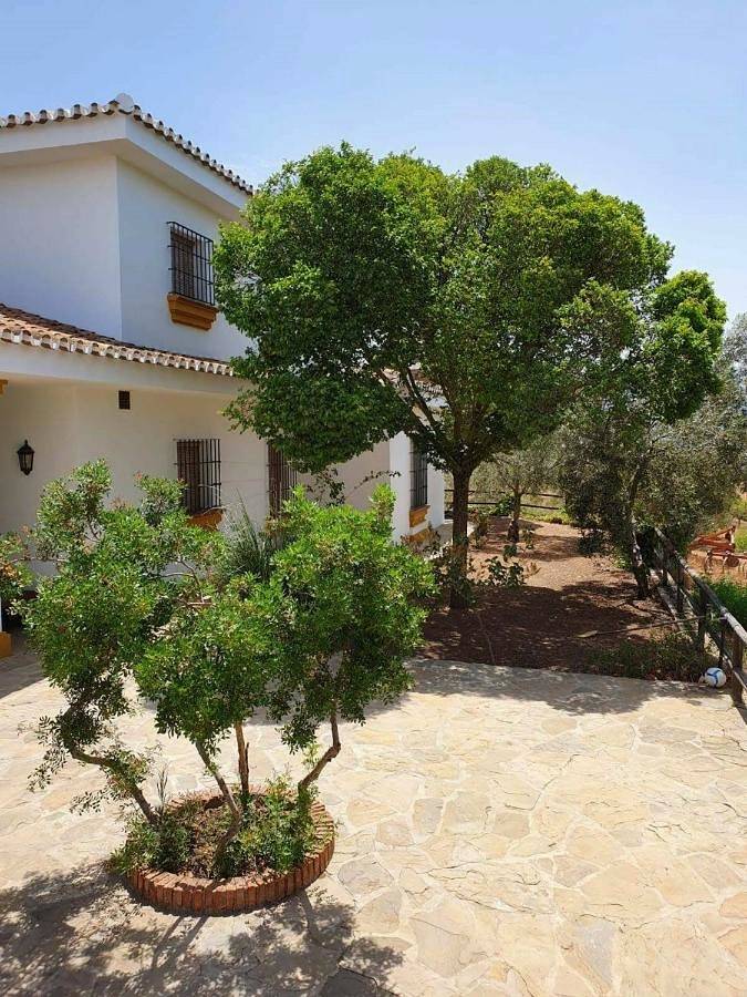 Casa rural para 8 personas, con terraza y vistas además de piscina y jardín en Villanueva del Rosario - 2