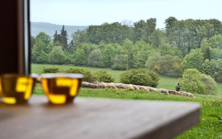 Hotel für 2 Personen, mit Sauna und Garten sowie Balkon in Rhön-Bayern - 3