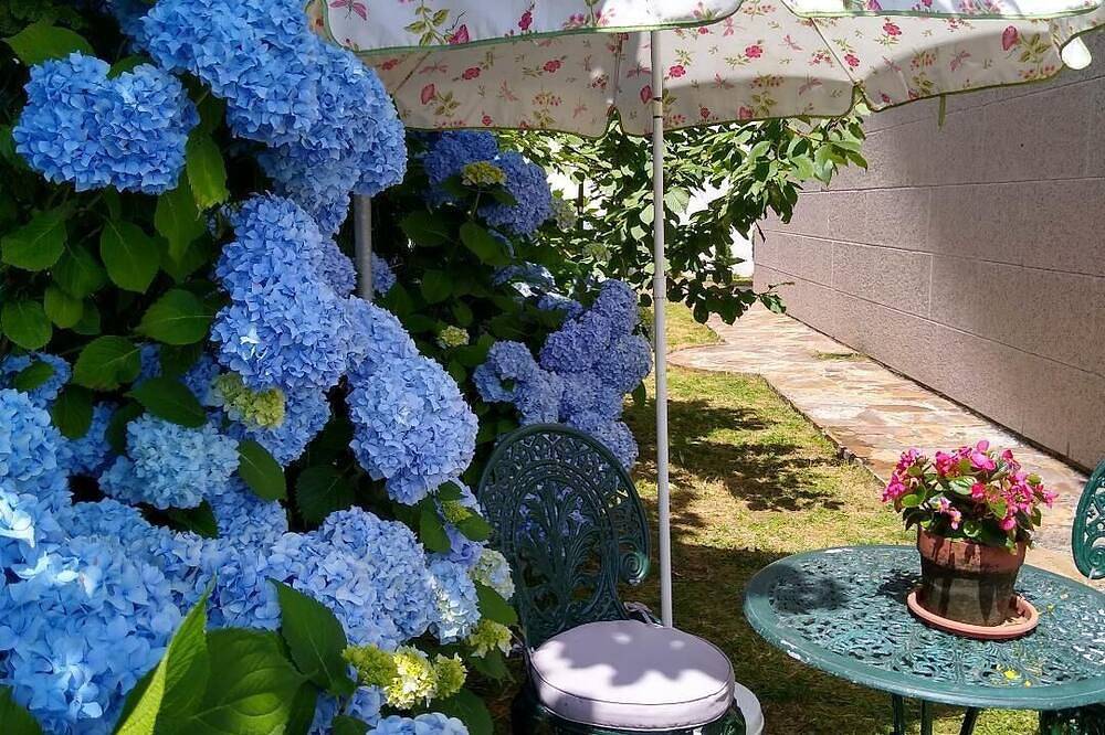 In the Heart of the Ribeira Sacra, next to Miño and Sil river !! in Ferreira de Panton, Pantón