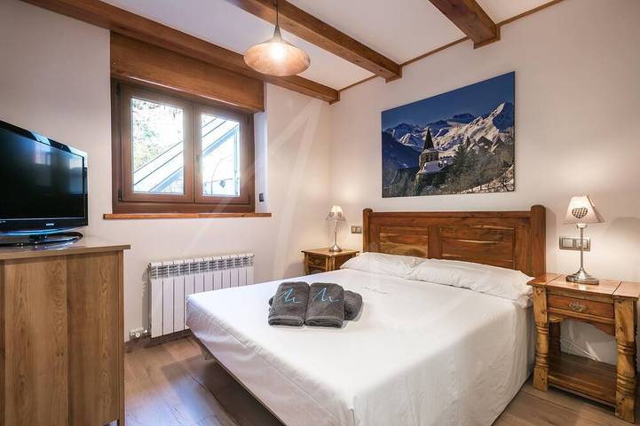 Ganze Wohnung, Riu Nere in Vielha, Vielha e Mijaran