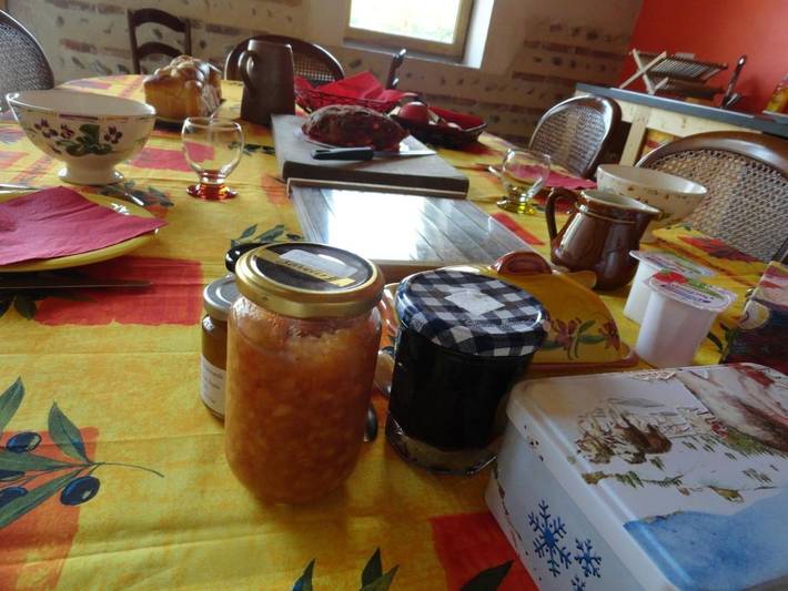 Chambre d’hôte pour 8 personnes, avec vue et jardin dans l' Ain - 3