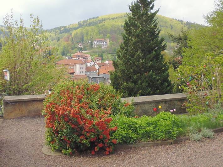 Ferienwohnung für 3 Personen, mit Balkon/Terrasse und Balkon in Wartburg - 3