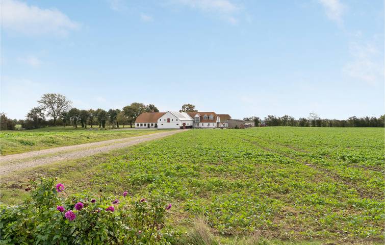 Ferienwohnung für 4 Personen, mit Terrasse und Garten, mit Haustier in Nordborg - 4