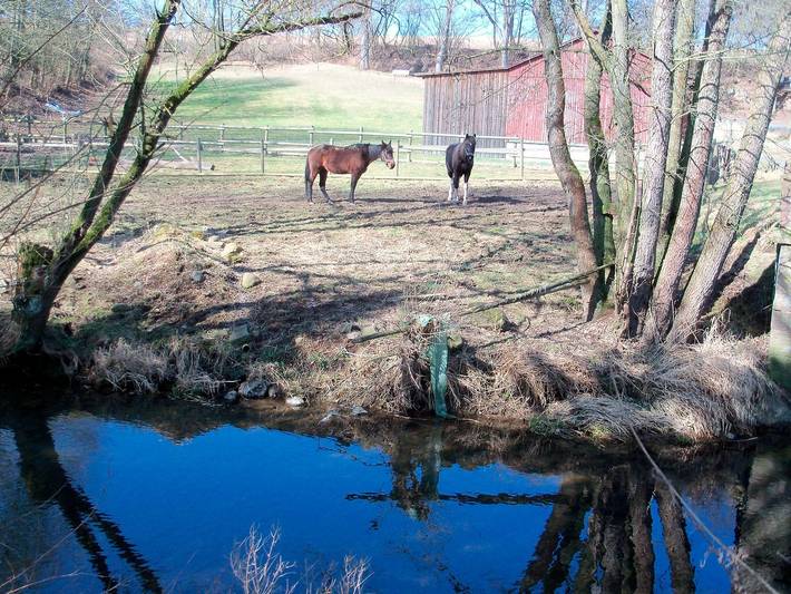 Ganze Ferienwohnung, Ferienwohnungen Mühlenhaus - Ferienwohnung Omas Stube mit 100qm, 4 Schlafzimmer, max. 8 Personen in Lauterbach, Vogelsberg Region