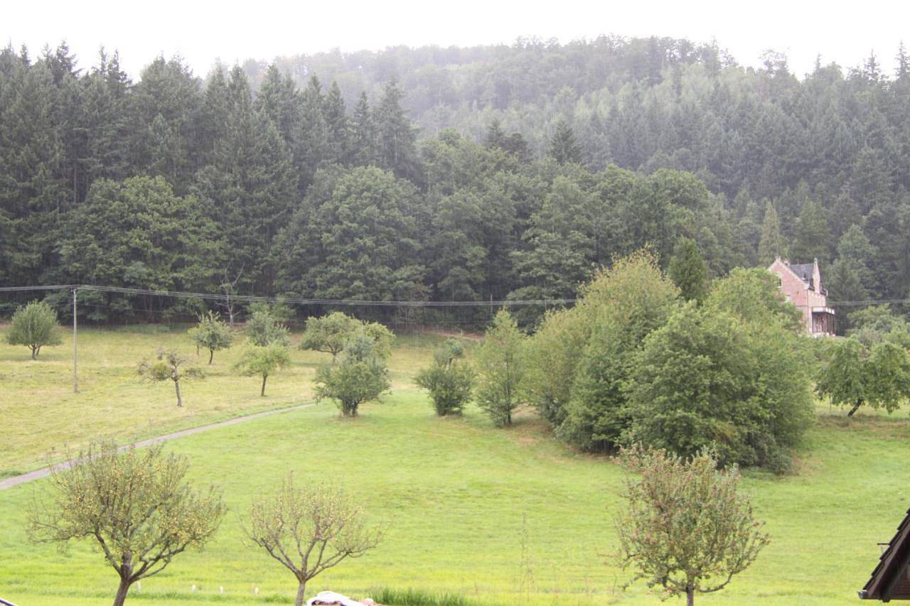 One-Bedroom Apartment with Terrace in Baden-Baden, Forêt Noire du Nord