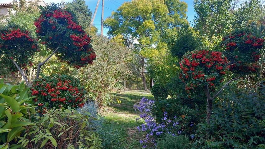 Gîte pour 4 personnes, avec piscine ainsi que vue et terrasse, animaux acceptés à Le Vigan - 2