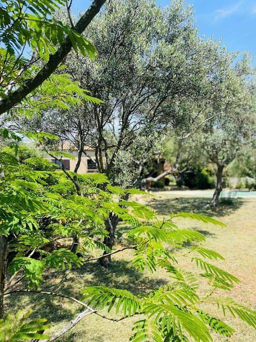 Location de vacances pour 7 personnes, avec vue et terrasse ainsi que jardin et piscine à Tavernes - 2