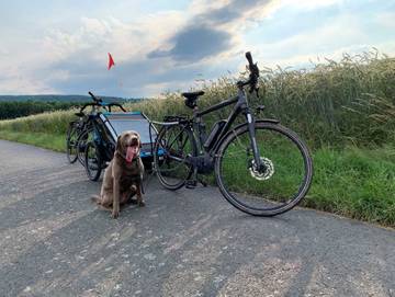 Ferienwohnung für 4 Personen in Hann. Münden, Werratal, Bild 4