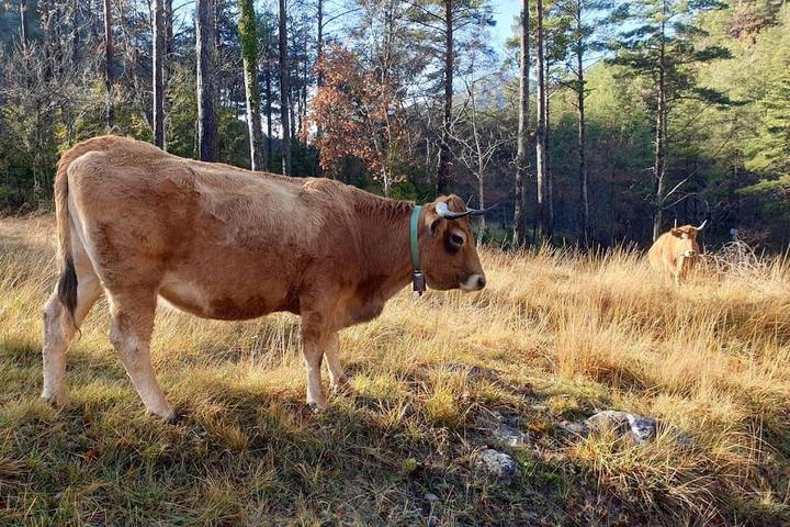 Gîte pour 6 personnes à La Pobla de Lillet - 2