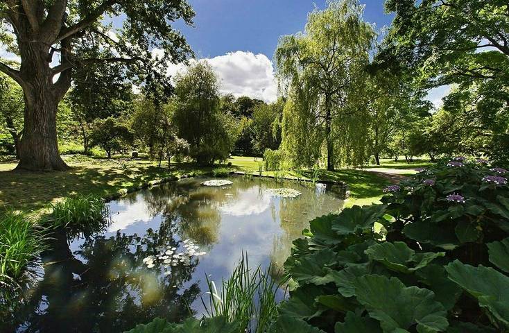 Ganze Wohnung, Farbenfrohe Wohnung mit Hinterhof im Zentrum von Oslo in Gamle Oslo, Oslo