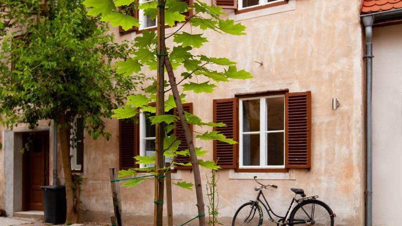 Ganze Ferienwohnung, Ferienwohnung für 2 Personen (30 m²) in Bad Radkersburg in Südoststeiermark, Bad Radkersburg