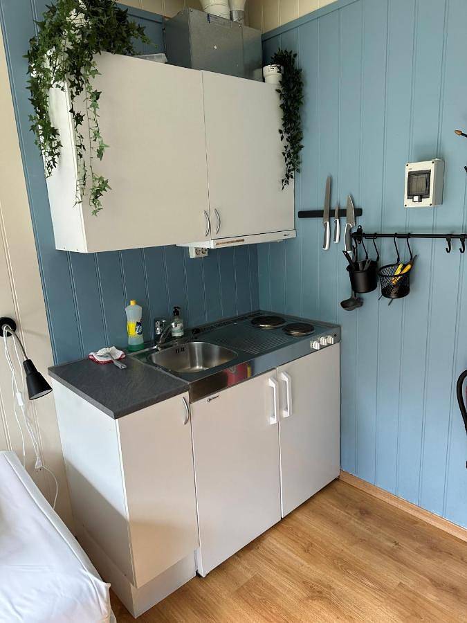 Ferienwohnung für 2 Personen, mit Seeblick und Terrasse in Måndalen