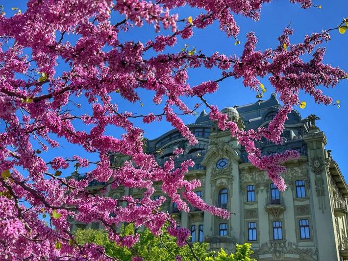 Maison d’hôte pour 2 personnes à Odessa - 4