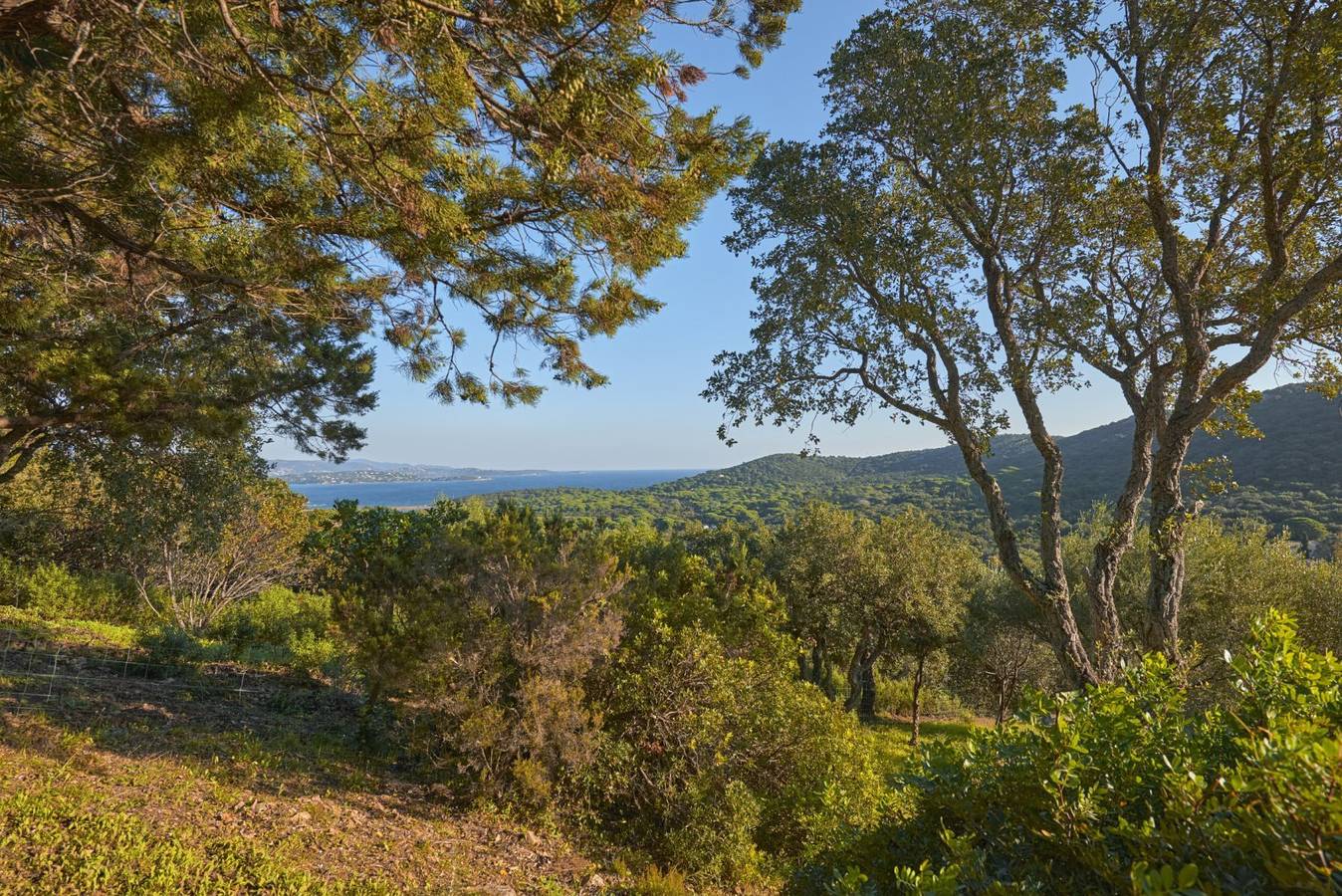 Casa Peninsula - Palombaggia - Rosumarinu in Porto-Vecchio, Arrondissement de Sartène