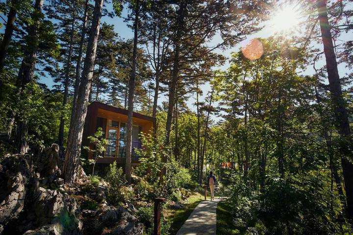 Location de vacances pour 2 personnes, avec jacuzzi ainsi que jardin et sauna à Vipava - 2