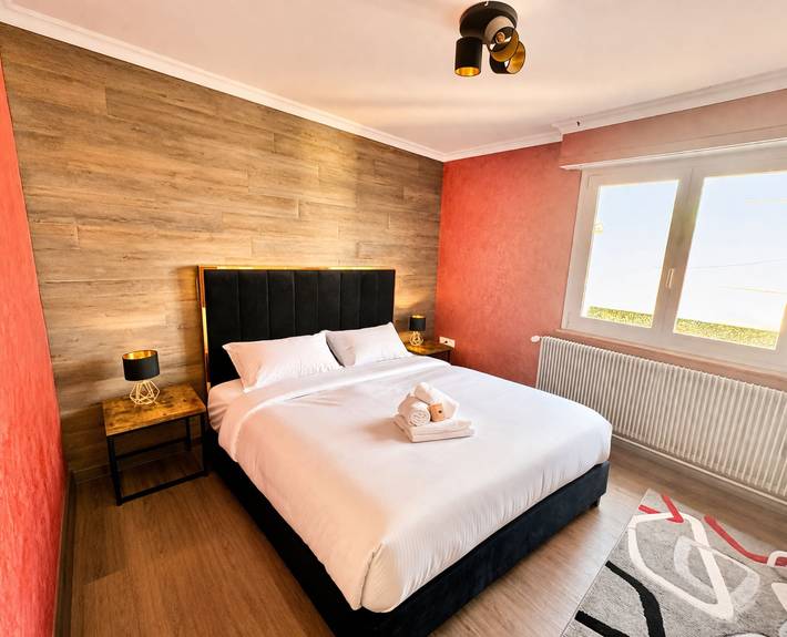 Gîte pour 5 personnes, avec jardin, adapté aux familles à Lingolsheim - 3