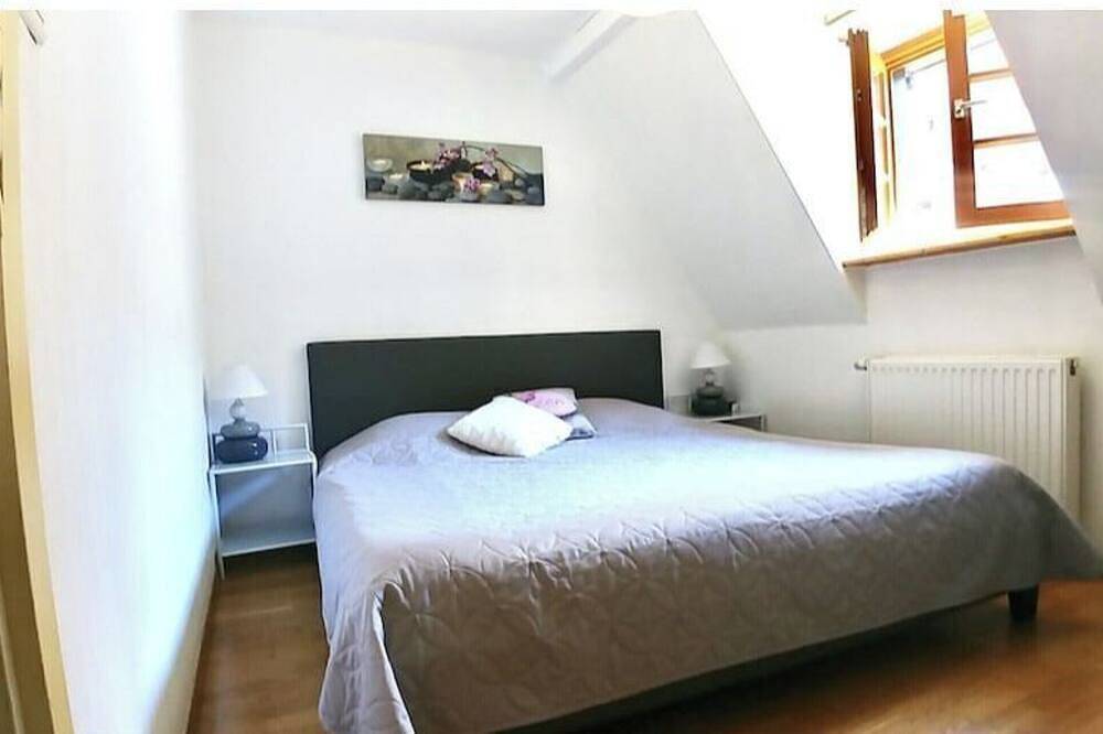 Entire apartment, La Petite Cigogne Résidence du Rempart in Eguisheim, Parc naturel régional des Ballons des Vosges