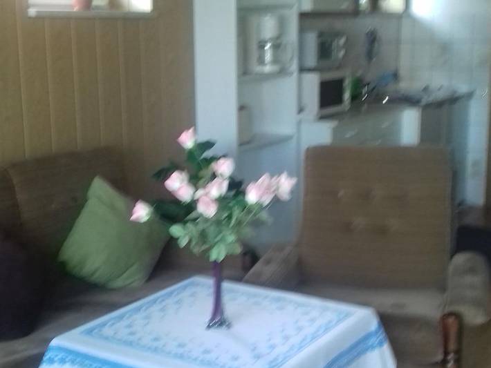 Ferienwohnung für 3 Personen, mit Terrasse, mit Haustier im Osterzgebirge - 4