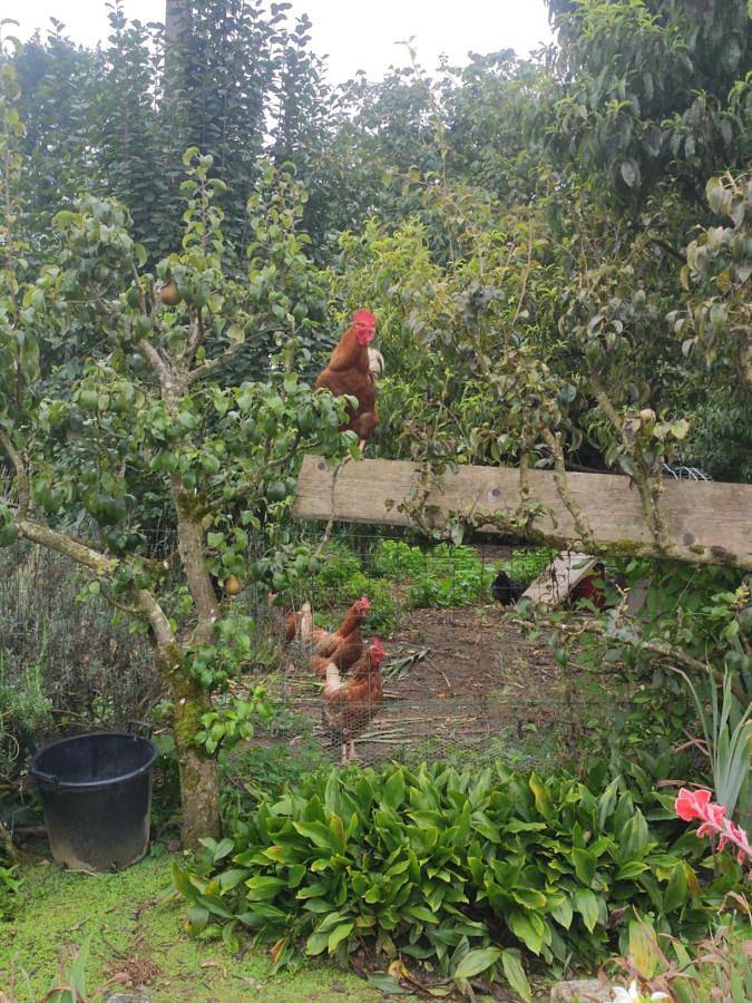 Chambre d’hôte pour 2 personnes, avec jardin dans Plan D Eau De La Cantache